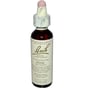 Bach Flower Remedies Essence Pine - 0.7 Fl Oz