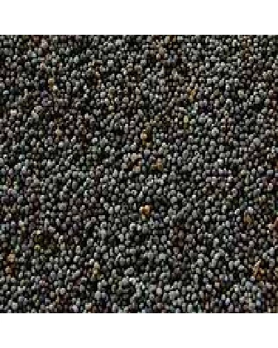Seeds Poppy Seeds (1x5LB )